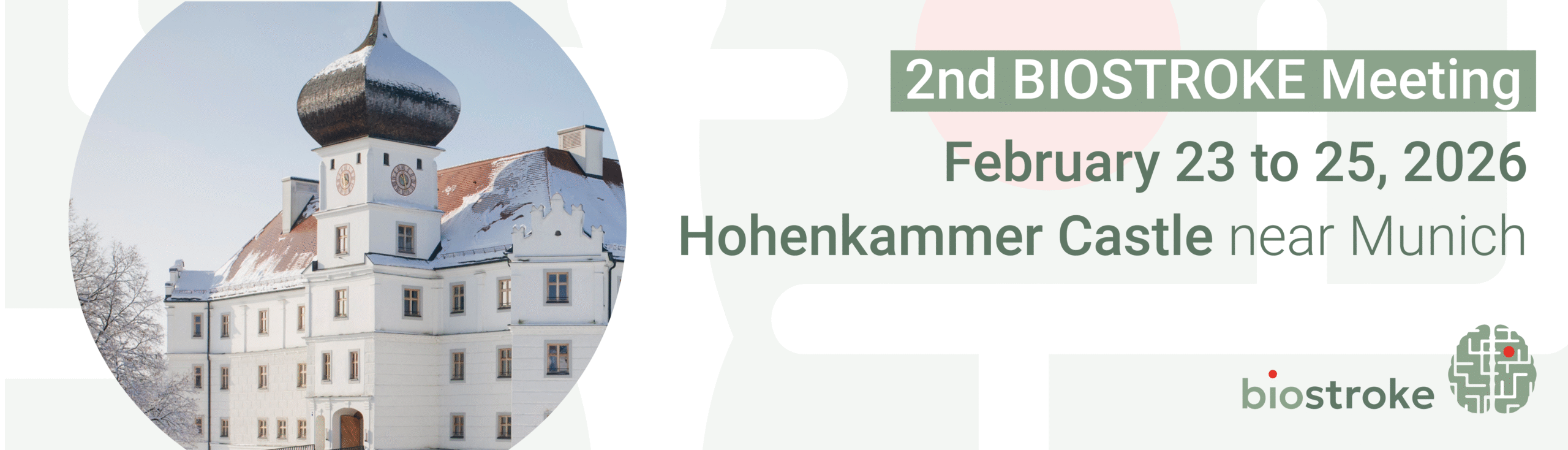 BIOSTROKE Meeting 2026