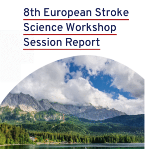 Visual of the ESSW Workshop Session Report