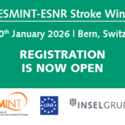 13th ESO-ESMINT-ESNR Stroke Winter School